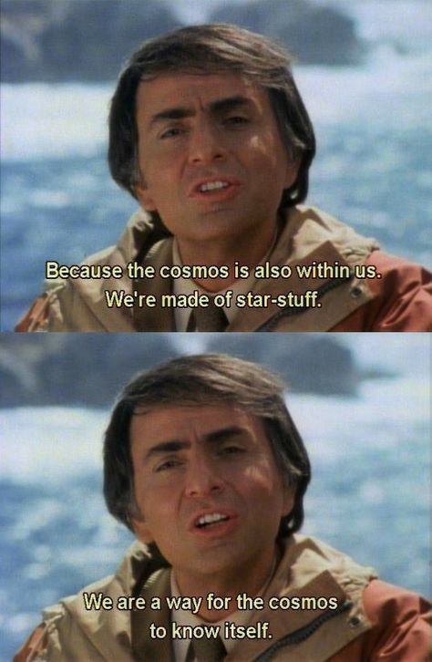 People Perspective, Cosmos Quotes, Carl Sagan Cosmos, Best Colleges, Science Rules, Quotes Happy, Online College, Carl Sagan, Happy B Day