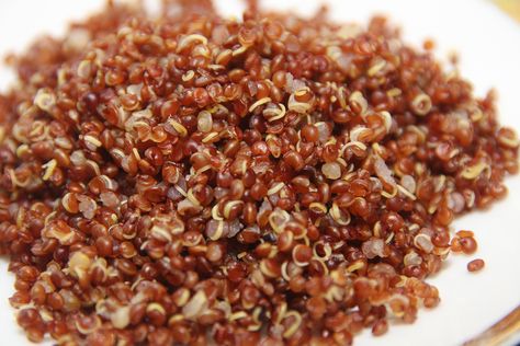 How to Sprout Quinoa the Right Way: http://onegr.pl/1kEVFOG Red Quinoa Salad, What Is Quinoa, Sprouting Quinoa, Quinoa Benefits, Red Quinoa, Quinoa Salad Recipes, Samos, Quinoa Recipes, Quinoa Salad