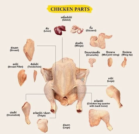 Meat Cooking Chart, Butcher A Chicken, Meat Cuts Chart, Beef Cuts Chart, Chicken Parts, Culinary Basics, Culinary Lessons, Homemade Cookbook, Chicken Shop