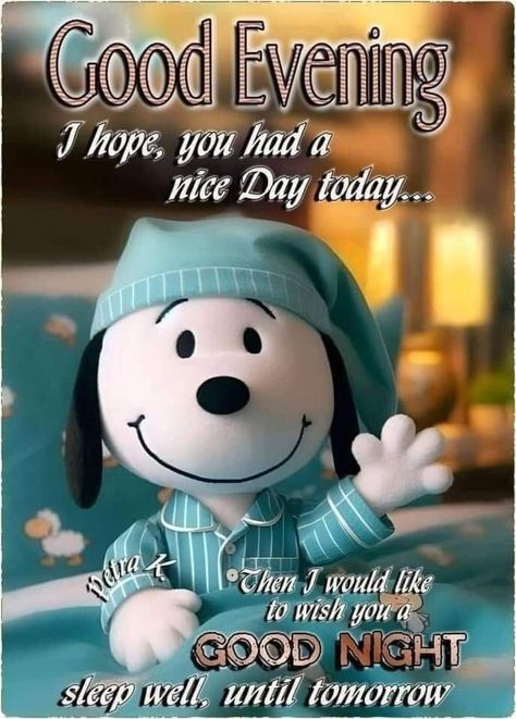 Snoopy Good Night, Good Evening Blessings, Night Blessings Quotes, Cute Good Night Quotes, Good Night Blessings Quotes, Good Night Sleep Well, Evening Blessings, Good Evening Messages, Good Night Prayer Quotes