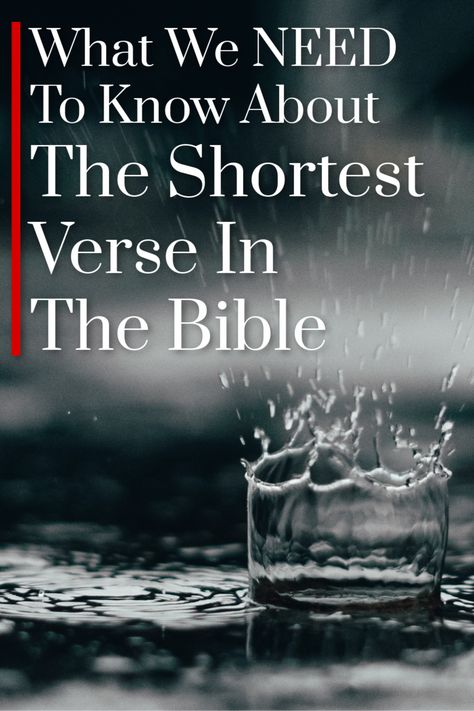 The short verse in the Bible is also one of the most profound. What Is The Best Bible Version, Bible Analogies, Short Inspirational Christian Stories, Short Verses, Praying For Your Family, Jesus Wept, Christian Stories, Freedom In Christ, Hearing Gods Voice