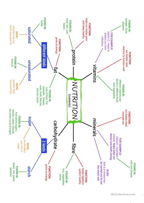 Nutrition (Nutrients) Mind Map and exercises - English ESL Worksheets Concept Mapping, Teaching Nouns, Biochemistry Notes, Bournemouth University, Ielts Speaking, Health Chart, Nutrition Classes, Biology Classroom, Human Nutrition