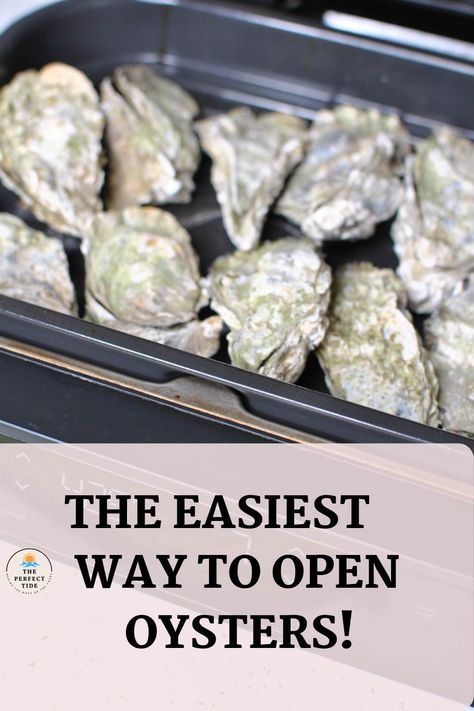 Airfryer Oysters, Air Fried Oysters, Oysters In Air Fryer, Roasted Oysters In Oven, Air Fryer Oysters, Air Fryer Oyster Recipes, Broiled Oysters Recipe, Oysters Grilled, Chargrilled Oysters Recipe