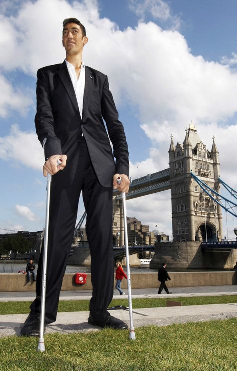 World's Tallest Man -Sultan Kösen - Height: 8' 3" (2.51 m) Sultan Kösen is a Kurdish farmer who holds the Guinness World Record for tallest living male at 2.51 m. His growth has resulted from a tumor affecting his pituitary gland. His stature is such that he must use crutches in order to walk. (Wikipedia) Born: December 10, 1982 (age 31), Mardin, Turkey Tallest Man, Men Over 50, Choppy Bob Haircuts, Guinness Book Of World Records, Tall Man, Tall Person, Tall People, Blending Gray Hair, Guy Pictures