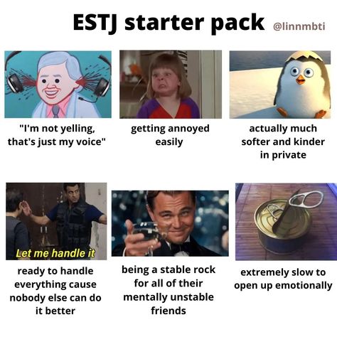 Esfj Starter Pack, Esfj Memes Funny, Mbti Starter Pack, Estj Memes Funny, Estj Character, Estj Aesthetic, Violet Moodboard, Estj Mbti, Mbti Aesthetic