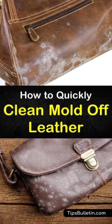 Clean Leather Purse, Cleaning Mold, Homemade Cleaning Solutions, Diy Cleaning Hacks, Homemade Cleaning Products, Household Cleaning Tips, Mold Remover, Cleaning Recipes, Cleaners Homemade