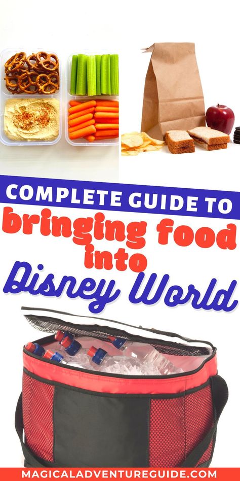 Taking Food Into Disney World, Snacks To Bring Into Disney World, Snack Ideas For Disney World, Best Food To Pack For Disney, Best Snacks For Disney World, Lunch Ideas For Disney World, Bringing Food To Disney World, Food To Take To Disney World, Best Snacks To Pack For Disney World