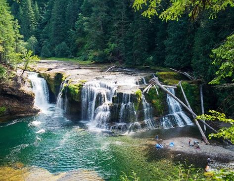 Forest Washington, Gifford Pinchot National Forest, Mount St Helens, Pacific Northwest Travel, Washington State Travel, Washington Travel, Pacific Nw, Natural Landscapes, Family Trips