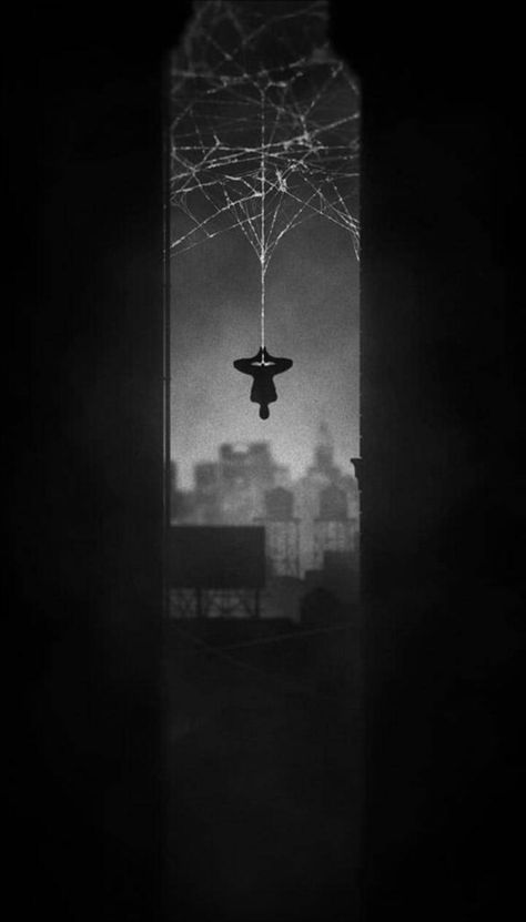 Dark Spider Man Aesthetic, Dark Spider Man Wallpaper, Spiderman Noir Wallpaper Iphone, Spider Man Black Background, Spiderman Dark Aesthetic, Spider Man Dark Aesthetic, Spider Man Home Screen Wallpaper, Spider Man Dark Wallpaper, Spiderman Wallpaper Black And White