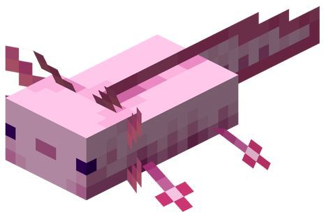 Axolotl – Minecraft Wiki Axolotl Oc, Axolotl Minecraft, Minecraft Axolotl, Axolotl Art, Underwater Music, Minecraft Blocks, Minecraft Drawings, Minecraft Mobs, 8bit Art