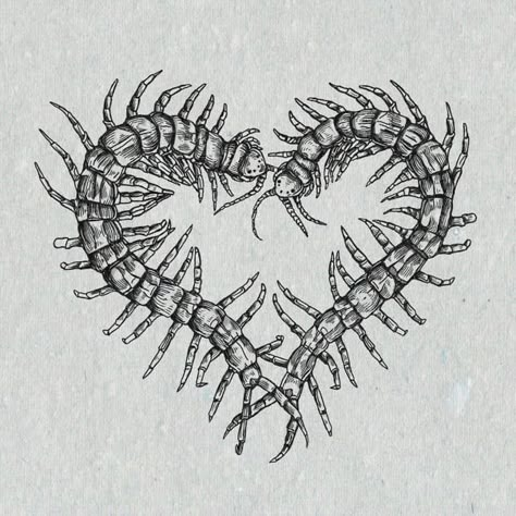 Edgy Girly Tattoo, Centipede Aesthetic, Centipede Tattoos, Centipede Tattoo, American Traditional Tattoo Ideas, Traditional Tattoo Ideas, Armband Tattoos, Funky Tattoos, Bug Tattoo