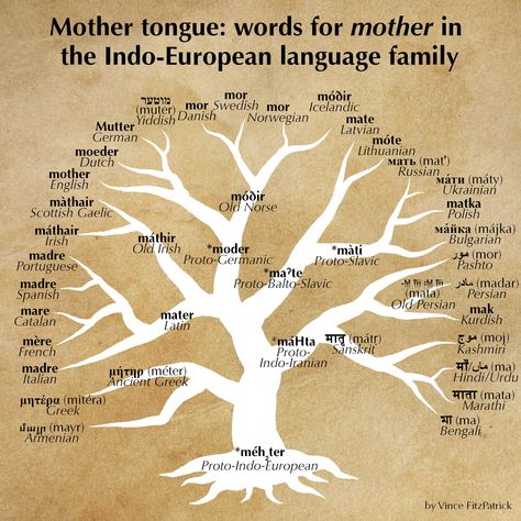 LanguageCrawler on Twitter: "… " Language Tree, Indo European, Mother Tongue, Language Families, Scottish Gaelic, Writing Systems, European Languages, Old Irish, Old Norse