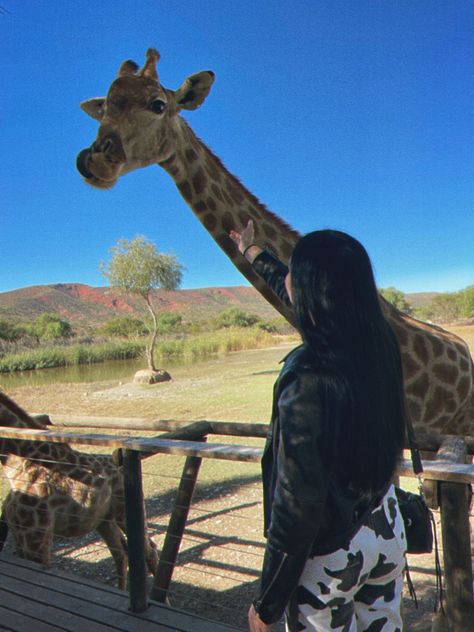 Giraffe Feeding, Iphone Instagram, Aesthetic Life, African Safari, Kenya, South Africa, Vision Board, Animals, Instagram