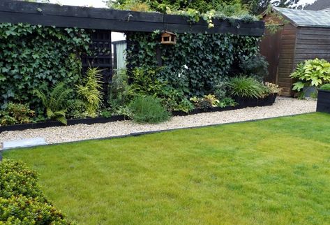 Covering ugly fence - minimal space — BBC Gardeners' World Magazine Ivy Covered Fence, Concrete Fence Posts, Mums Garden, Backyard Aesthetic, Design Backyard, Concrete Fence, Fence Posts, Deck With Pergola, Covered Garden