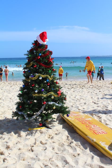 Bondi Christmas, Sydney Xmas In Australia, Christmas In Hawaii Aesthetic, Christmas In Sydney, Aussie Summer Christmas, Christmas Summer Aesthetic, Christmas In July Aesthetic, Aussie Christmas Wallpaper, Christmas In Summer Aesthetic, Christmas Australia Aesthetic