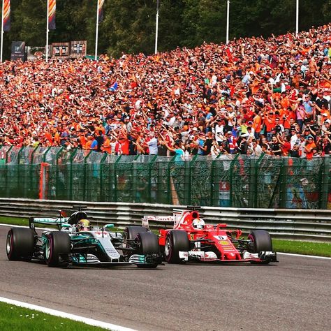 Spa Belgium F1, Mayweather Vs Mcgregor, Belgium Grand Prix, F1 Wallpaper Hd, F1 Racing, Belgium, Formula 1, Grand Prix, Motorsport