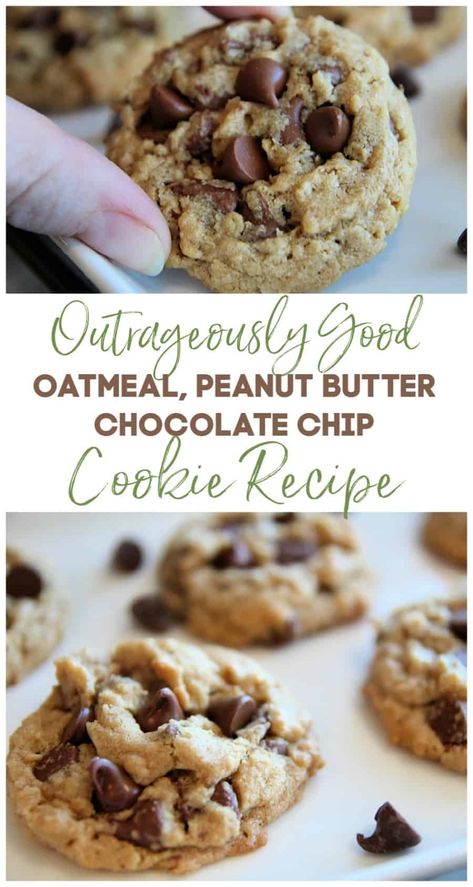 Oatmeal Peanut Butter Chocolate Chip, Oatmeal Chocolate Chip Cookies Recipe, Peanut Butter Oatmeal Chocolate Chip, Peanut Butter Oatmeal Chocolate Chip Cookies, Oatmeal Peanut Butter, Oatmeal Chocolate Chip Cookie Recipe, Krispie Treats Recipe, Cake Mix Cookie Recipes, Chocolate Chip Cookies Recipe