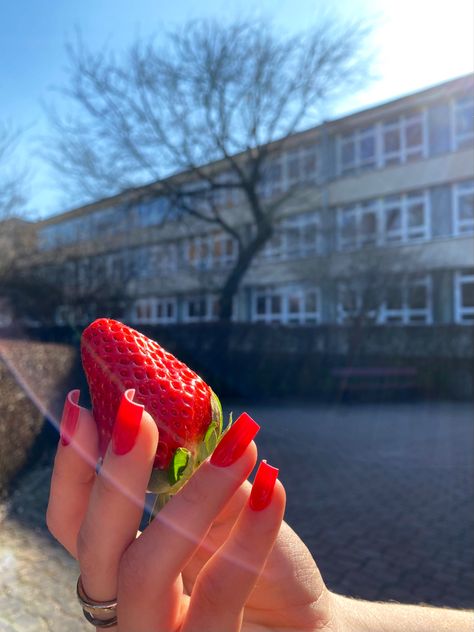 Strawberry Red Nails, Nails Strawberry, Strawberry Nails, Nails Inspo, Comfort Zone, Red Nails, Nail Inspo, Nails, Red