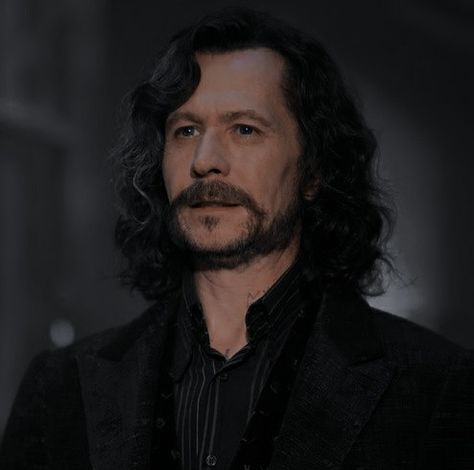 Harry Potter Sirius, Harry Potter Icons, Harry Potter Puns, Images Harry Potter, Hogwarts Aesthetic, Harry Potter Actors, Harry Potter Fanfiction, Gary Oldman, Harry Potter Facts