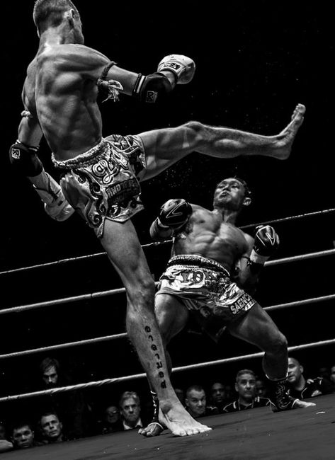 Muay Thai Wallpaper, Martial Arts Photography, Muay Boran, Muay Thai Martial Arts, Thai Box, Boxe Thai, Muay Thai Training, Mma Boxing, Anatomy Poses