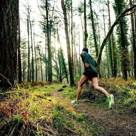 Trail Running Photography, Post Run Stretches, Marathon Training Schedule, Running Photography, Running Photos, Half Marathon Training Plan, Marathon Training Plan, Training Schedule, Half Marathon Training