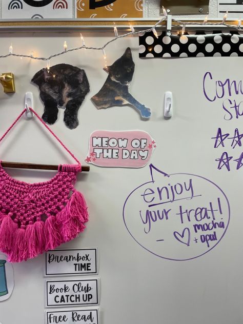 Harry Styles Classroom Decor, Harry Styles Classroom, Classroom Design, Career Education, Free Reading, First Grade, Classroom Decor, Book Club, Harry Styles