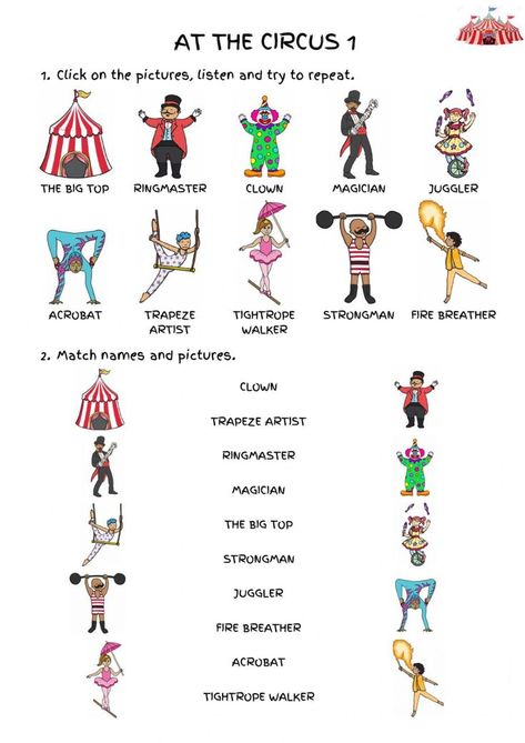 Circus Trapeze Artist, Circus Acrobat Character Design, Circus Jobs List, Circus Roles Chart, Type Of Clowns, Circus Acts Ideas, Clown Types Chart, Circus Magician Character Design, Jester Oc Ideas