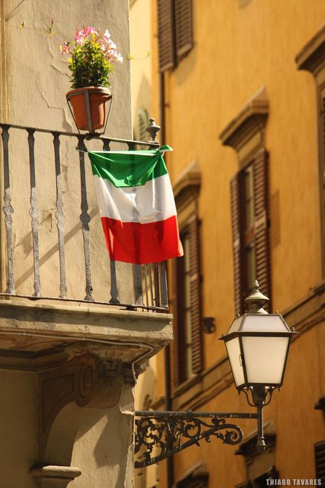 Italian Flag, Florence Italy, Florence, Flag, Italy, Flowers