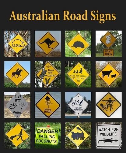 The Best Of The Rest… | 47 Signs You'll Only See In Australia Australian Road Signs, Koala Meme, Koala Funny, Aussie Memes, Funny Aussie, Australian Memes, Meanwhile In Australia, Funny Koala, Australia Funny