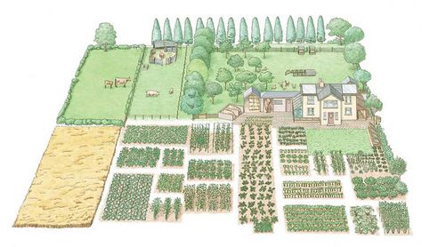 Lovely little illustration of a small self-sufficient farm. Homestead Layout, Self Sufficient Homestead, Acre Homestead, Self Sustaining, Modern Homesteading, Farm Layout, Permaculture Design, Mother Earth News, Crop Rotation