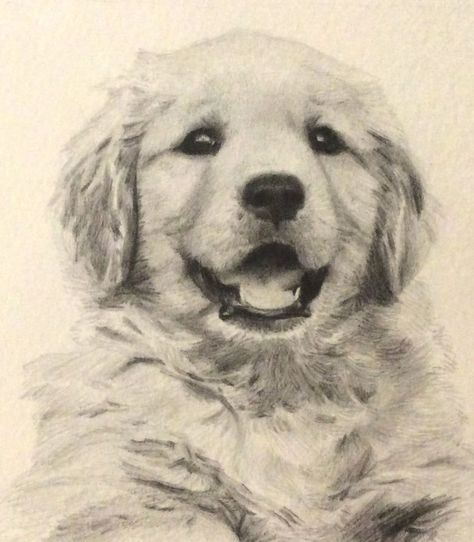 Golden Retriever Sketch Easy, Golden Retriever Puppy Drawing, Cute Puppy Sketch, Golden Retriever Eyes, Golden Retriever Sketch, Pet Tattoo Ideas, Golden Retriever Drawing, Golden Retriever Painting, Pet Tattoos