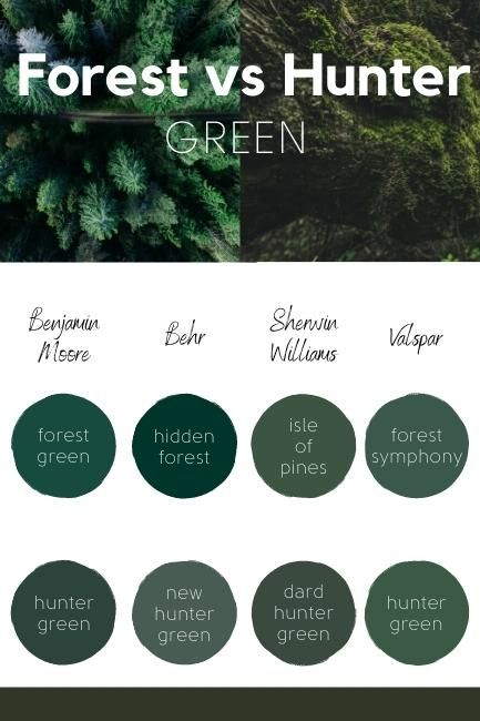 Sherwin Williams Essex Green, Rainforest Green Paint, 2023 Dark Green Paint Color, Dark Forest Green Paint Colors, Behr Hunter Green Paint, Dark Green Paint Pallet, Benjamin Moore Emerald Green Paint Colors, Emerald Green Benjamin Moore, Dark Forest Green Wall