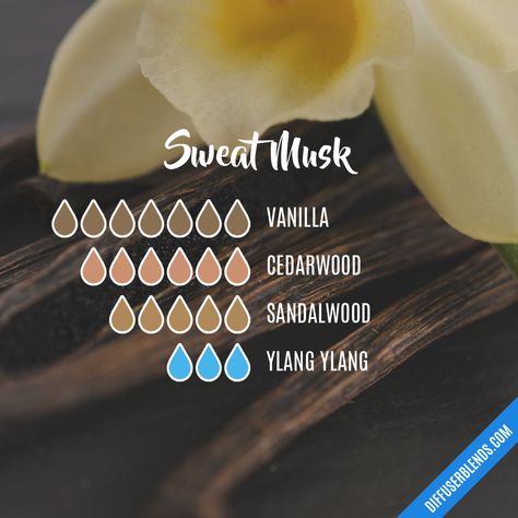 Musk Essential Oil Blend, Diy Perfume Oil, Musk Essential Oil, Scent Blends, Musk Oil, Fragrance Blends, Essential Oil Combinations, Essential Oil Diffuser Blends Recipes, Homemade Goodies