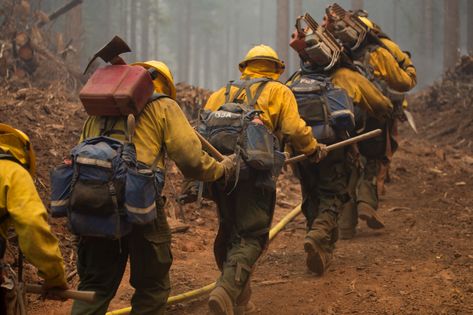 Managing Fire | US Forest Service Wildland Firefighting, Firefighter Pictures, Us Forest Service, Aviation Technology, Wildland Fire, Fire Wife, Wildland Firefighter, Happy Camp, California Wildfires