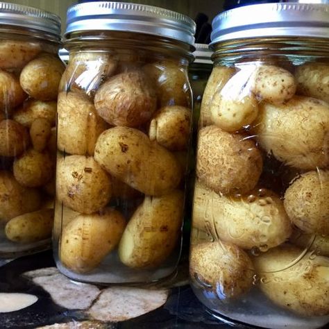 Canning Russet Potatoes, Canning Potatoes With Skin On, Canning New Potatoes, Potato Canning Recipes, How To Dry Can Potatoes, Canning Potatoes Recipes, Can Potato Recipes, Canning Red Potatoes, Dry Canning Potatoes