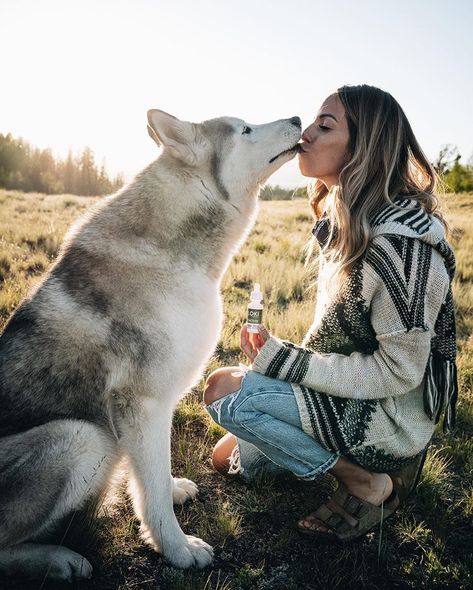 Dog Hugging Human, Dogs Hugging, Full Spectrum Cbd, Dog Sledding, Canine Companions, Full Spectrum, Sled, Dressage, Loki