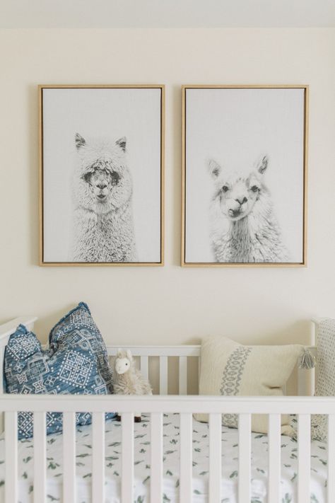 Cactus Theme Nursery, Kai Bear, Fisherman's Cottage, Christmas Home Decorating, Llama Decor, Llama Nursery, Baby Boy Nursery Themes, Girl Nursery Themes