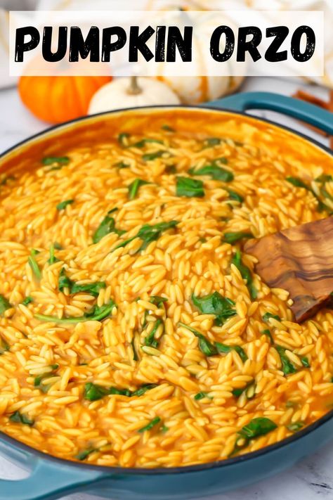 Pumpkin orzo is a quick and easy 1-pot meal perfect for fall! With just a few simple ingredients and less than 20 minutes, you can have a creamy, cozy, vegan meal that the whole family will love. It's easy to make gluten free too! thehiddenveggies.com Squash Orzo Recipes, Creamy Vegan Orzo, Healthy Vegan Fall Dinner, Pumpkin Orzo Recipes, Vegan Recipes With Pumpkin, Fall Rice Recipes, Orzo Pumpkin, Vegetarian Orzo Recipes, Vegan Orzo Recipes