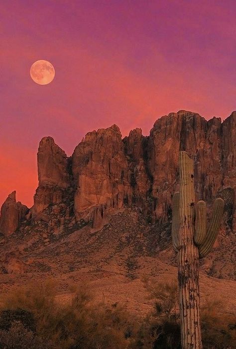 Arizona Wallpaper, Arizona Vibes, Arizona Aesthetic, Desert Love, Still Awake, Desert Aesthetic, Arizona Sunset, Arizona Landscape, Desert Dream