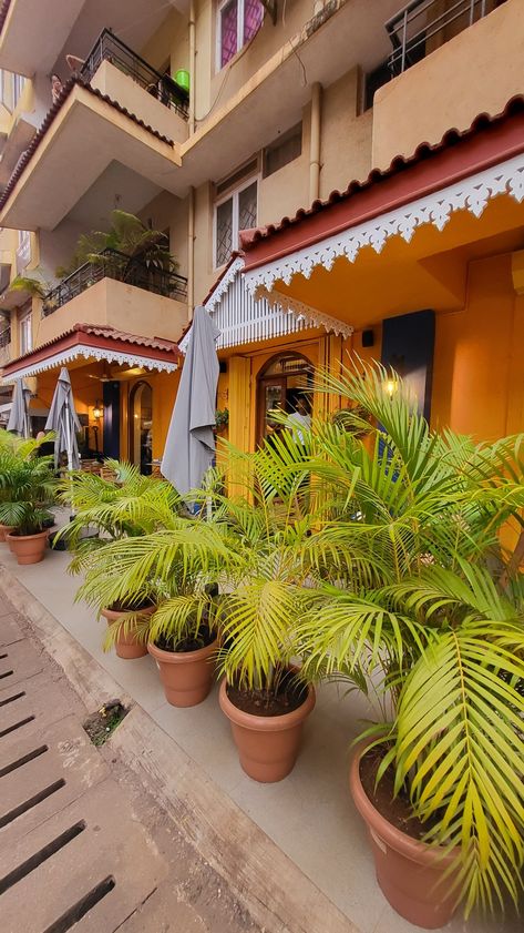 Breakfast with the views of the Goa Beach Breakfast Vibes, Morning View, Goa, India, Coffee, Quick Saves