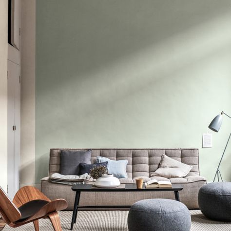 Dulux Paint Colours Living Room, Dulux Tranquil Dawn, Tranquil Dawn, Dulux Paint Colours, Top Paint Colors, Walls Ideas, Paint Trends, Dulux Paint, Room Wall Colors