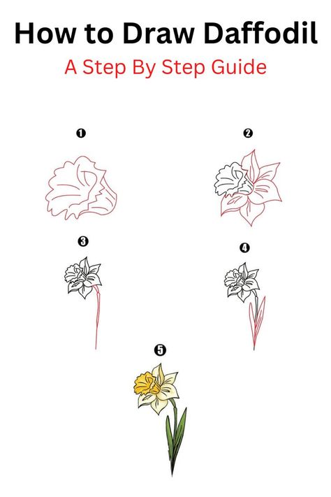 How to Draw Daffodil Daffodil Drawing, Kinds Of Flowers, Cute Motivational Quotes, Cool Drawing, Flower Step By Step, Flower Drawing Tutorials, Daffodil Flower, Boring Life, Flower Sketches