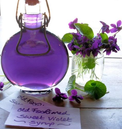 This violet syrup is great when added to icings and buttercream for cakes; and is wonderful when used in beverages –  only a small amount is... Violet Syrup, Edible Flowers Recipes, Mothering Sunday, Sweet Violets, Flower Food, Jams & Jellies, All Things Purple, Edible Flowers, Purple Glass