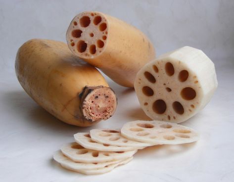 Lotus Root Heath Benefits, Nutritional Facts, Uses, Recipes Lotus Root Recipe, Fruit Du Dragon, Lotus Plant, Lotus Root, Minestrone, Root Vegetables, Organic Herbs, Kimchi, Lotus Flower