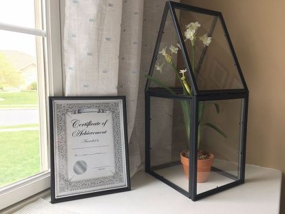 Create a budget friendly terrarium with this great dollar store easy DIY craft project for the home. This easy craft idea is fun and is perfect to make for gifts. #diy #crafts #dollarstore Upcycle Frames, Hinges Diy, Cheap Picture Frames, Picture Frame Wreath, Mini Picture Frames, Dollar Photo, Document Frame, Mini Mason Jars, Spray Paint Cans