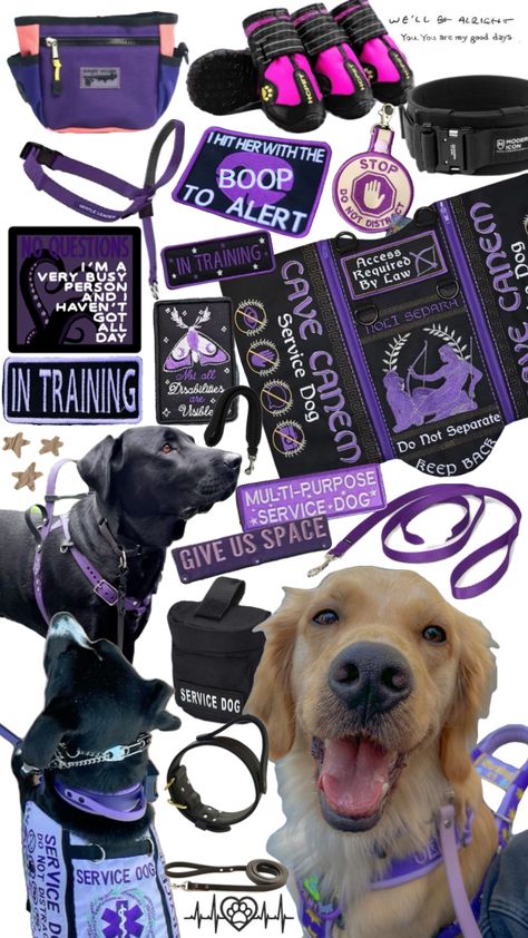 Service dog gear #servicedog#servicedogs#servicedoggear#dog#dogs#doggear#purple#purplegear Service Dog Gear, Gentle Leader, Puppy Checklist, Service Dog Patches, Dog Equipment, Service Dogs Gear, Christmas Service, Service Dog Vests, Emotional Support Dog