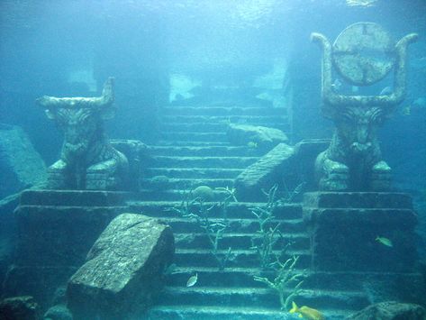 Atlantis underwater "ruins" | Nathan & Jenny | Flickr Atlantis Underwater, Underwater Ruins, Medieval Things, Living Arrangements, Ocean Stuff, Lost City Of Atlantis, Underwater Caves, Underwater City, Abandoned Things