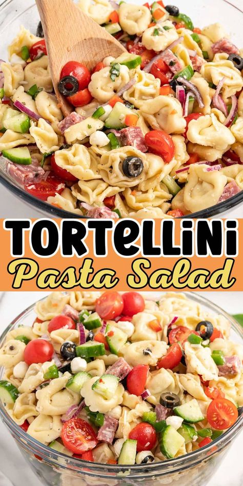 Tortellini Pasta Salad Cheese Tortellini Pasta Salad, Cheese Tortellini Pasta, Princess Recipes, Tortellini Pasta Salad, Cold Side Dishes, Pasta Fresh, Butterbeer Recipe, Mozzarella Pearls, Viral Recipes