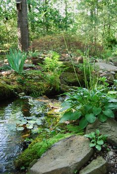 Planting Around A Pond, Woodland Pond, Woodland Stream, Backyard Garden Layout, Fountains Backyard, Pond Ideas, Pond Waterfall, Backyard Garden Landscape, Pond Water Features