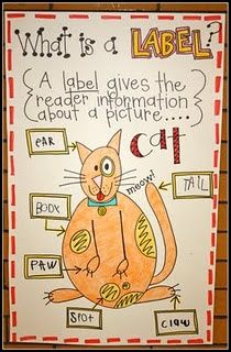 Label lesson...her Kindergarten site has some cute ideas and freebies. Kindergarten Anchor Charts, Classroom Anchor Charts, Writing Anchor Charts, 1st Grade Writing, First Grade Writing, Reading Anchor Charts, Kindergarten Writing, Teaching Literacy, Text Features